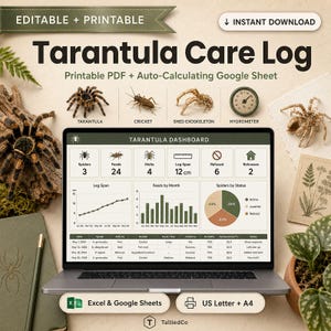 May include: A digital tarantula care log displayed on a laptop screen, featuring a dashboard with charts, tables, and data points for spider tracking. The interface includes icons for tarantulas, crickets, and a hygrometer, with text labels like Tarantula Dashboard and Leg Span 12 cm.