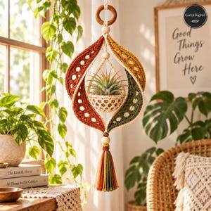 May include: A hanging macrame plant holder featuring a central cream-coloured basket containing an air plant. The structure is framed by two curved, crocheted panels in burnt orange and olive green, accented with wooden beads and a multi-coloured tassel.