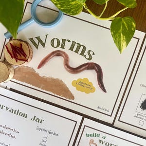 May include: An educational activity sheet titled Worms featuring a realistic earthworm illustration, a yellow cloud graphic with text, and sections for building a worm house and observation jar, accompanied by a light blue magnifying glass.