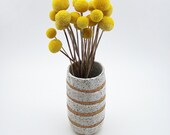 Vase - Stoneware Vase - Striped Pottery Vase - Ceramic Vase