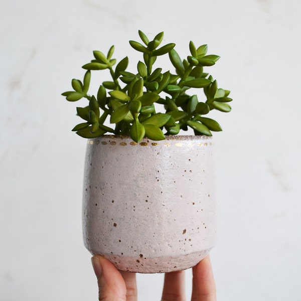 Kleine Keramik Pflanzgefäß - rustikale Pflanzer - saftige Pflanzer - Indoor Pflanzer - Pflanzer