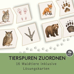 Op de afbeelding: Een set educatieve kaarten met illustraties van bosdieren en hun sporen, waaronder een muis, uil, vos en beer. De tekst luidt TIERSPUREN ZUORDNEN 16 Waldtiere inklusive Lösungskarten met een icoon voor een digitale download.