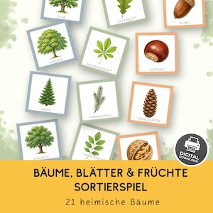 Può includere: Un set di carte educative con illustrazioni di alberi, foglie e frutti con etichette in tedesco. Le carte sono disposte in una griglia e la sezione inferiore include il testo BÄUME, BLÄTTER & FRÜCHTE SORTIERSPIEL e 21 heimische Bäume.