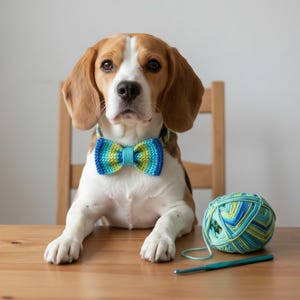 Mönster för virkat fluga för husdjur | Tillbehör till halsband för hund och katt (PDF-nedladdning)