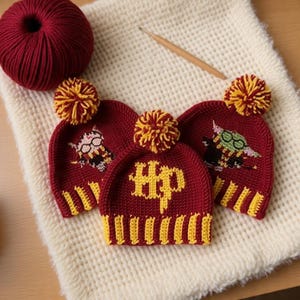 Wizard Crochet Hat Pattern, Magic School Beanie PDF, Geeky Geek Winter Apparel, Digital Download