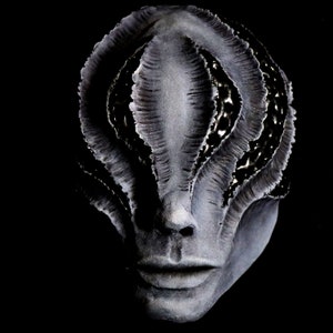 Hive: Resin cast mask