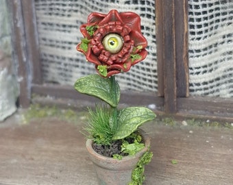eyeball-plant -  dollshouse miniature  - 12th scale