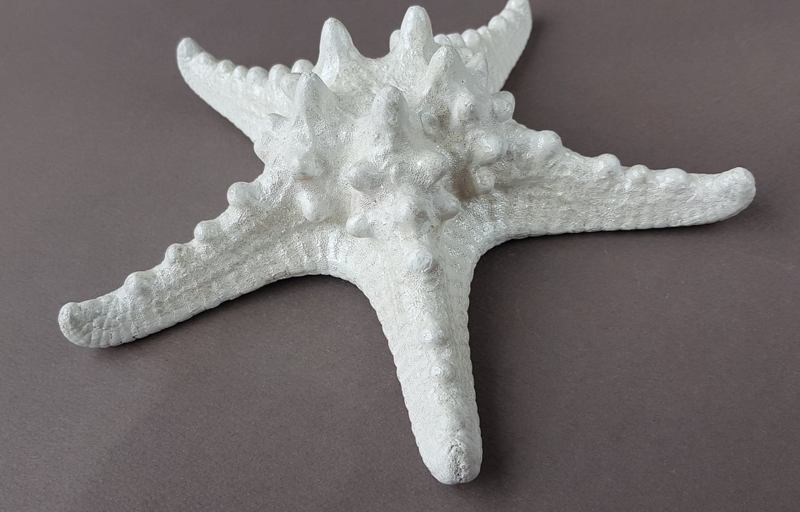 Starfish Wall Decorations Beach Wall Decor Large White Etsy Singapore