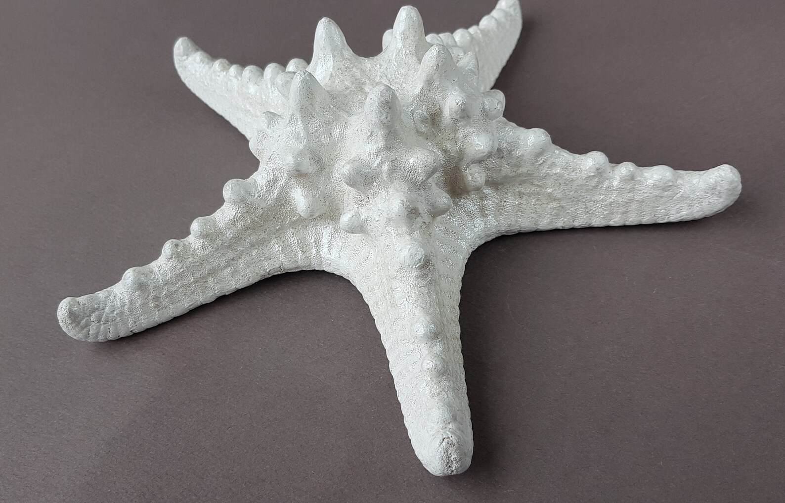 Starfish Wall Decorations Beach Wall Decor Large White Etsy