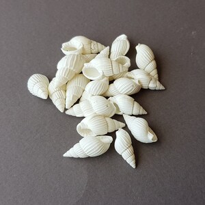 50 White Shell Beads, Spiral Drilled Seashell Charms 15mm to 25mm, Natural Sea shells, Jewelry Making Beading Supplies