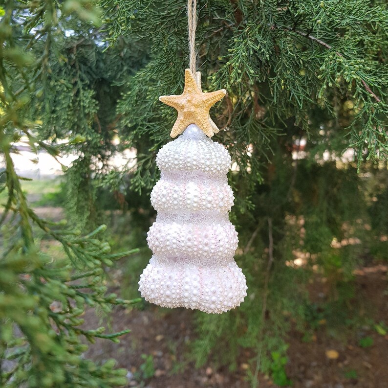 Mini Christmas Tree Shell Ornaments Sea Urchin Decor Beach Etsy