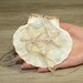 Seashell Wedding Ring Bearer Pillow Seashell Ring Holder Beach Wedding Ring Bearer Dish Starfish Nautical Mermaid Wedding Party Hawaiian sea