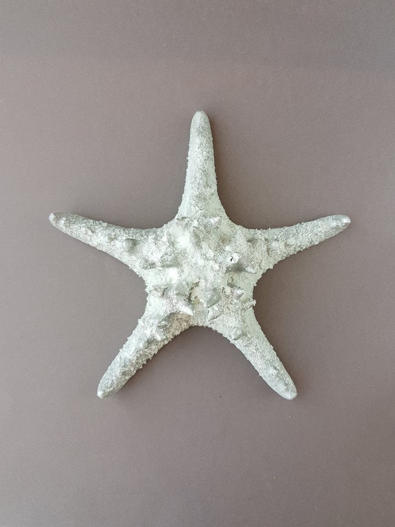 Beach Wall Decor Starfish Decorations Large Silver Hanging Coastal Nautical Lover Gift