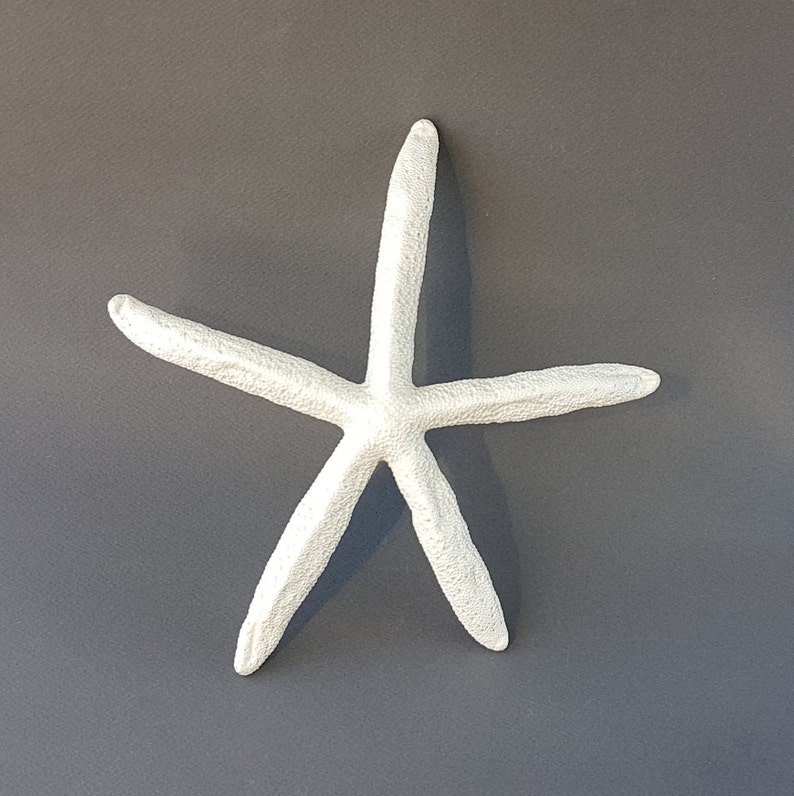 Large Starfish Wall Hanging Decor White Starfish Home