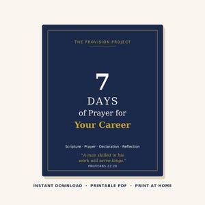 May include: A rectangular navy blue digital print featuring the text THE PROVISION PROJECT, 7 DAYS of Prayer for Your Career, Scripture, Prayer, Declaration, Reflection, and the quote A man skilled in his work will serve kings. PROVERBS 22:29.