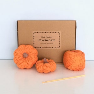 Crochet kit to make mini pumpkins in a kraft box
