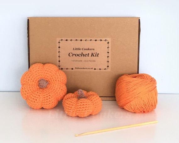 Two Pumpkin Crochet Kit, Easy Eco-friendly Autumn Craft Kit