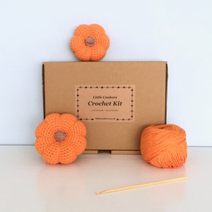 Crochet kit to make mini pumpkins in a kraft box