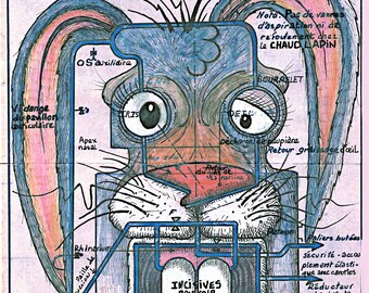 Juego de palabras visual - Díptico - Circuito de lubricación lagomórfica - 2 láminas artísticas, a partir de un dibujo técnico auténtico de 1958 | MESMIN padre e hijo