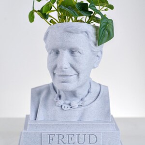May include: A light gray speckled bust planter shaped like the head of Sigmund Freud, featuring a necklace detail and the name FREUD embossed on the base. The planter contains a small green artificial plant with several broad leaves.