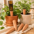 Handmade Terracotta Olla Watering Spikes,Slow Release Indoor Plant Hydration,Indoor Plant Care,Eco Friendly Reuse Bottle,Rustic Garden Decor