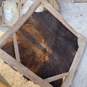 Natuurlijke behaarde buffelhuid voor het maken van sjamaandrums | Moederdrumvel van ongelooide huid