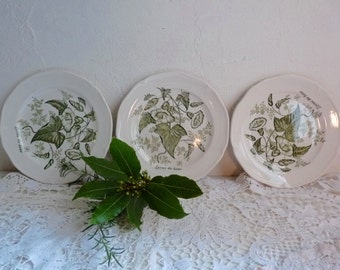 Vintage Set of 3 Morning Glory Plates, Small, Cream and Green, French Floral Plates, Stamped Gien, France.