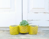 SALES, Concrete trio planters, flower herb planter, decoupaged, fall winter home decor