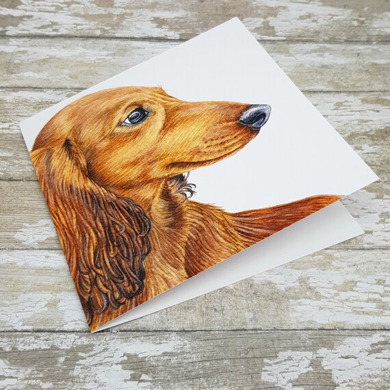 Dachshund Greeting Card Long Haired Red Dachshund Long Etsy