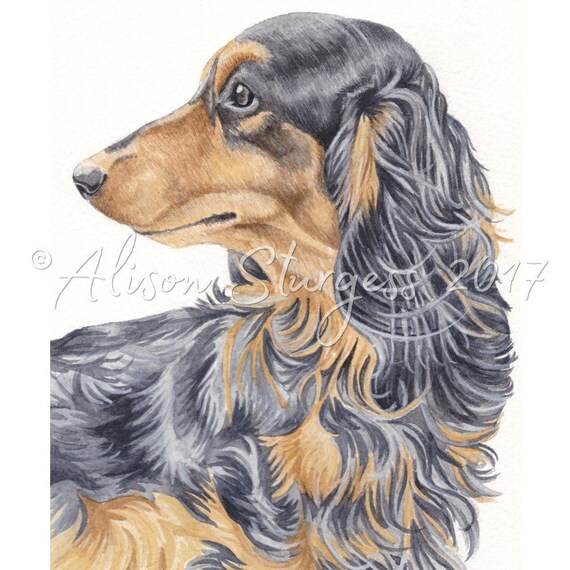 Dachshund Print Long Haired Black And Tan Dachshund Etsy