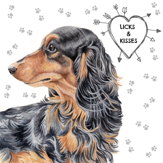 Dachshund Magnet Long Haired Dachshund Art Sausage Dog Etsy