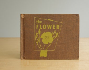 Vintage Children's Book: The Flower by Mary Louise Downer, 1955