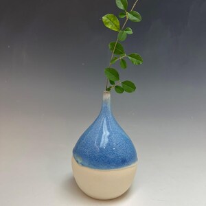 May include: A ceramic bud vase with a narrow neck and a rounded base. The upper portion features a textured, speckled blue glaze, while the lower portion has a smooth, matte off-white finish. A single green leafy stem is placed inside the vase.