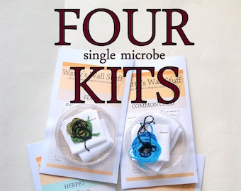 FOUR Cross Stitch KITs -- any 4 microbe cross stitch kits, STDs, viruses, bacteria, prions, neurons, you name it