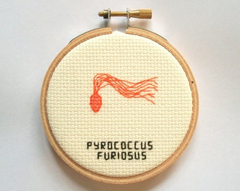 Pyrococcus furiosus -- hyperthermophile cross stitch to do with what you will, microbe cross stitch, gross