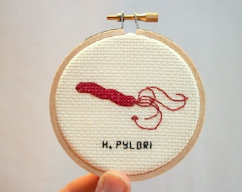 Stomach ulcer microbe -- H. pylori cross stitch to do with what you will