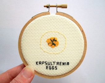 Kapsultaenia eggs --  tapeworm egg cross stitch to do with what you will, microbe cross stitch, gross