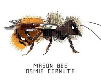 Cross Stitch Pattern -- Mason bee, osmia cornuta