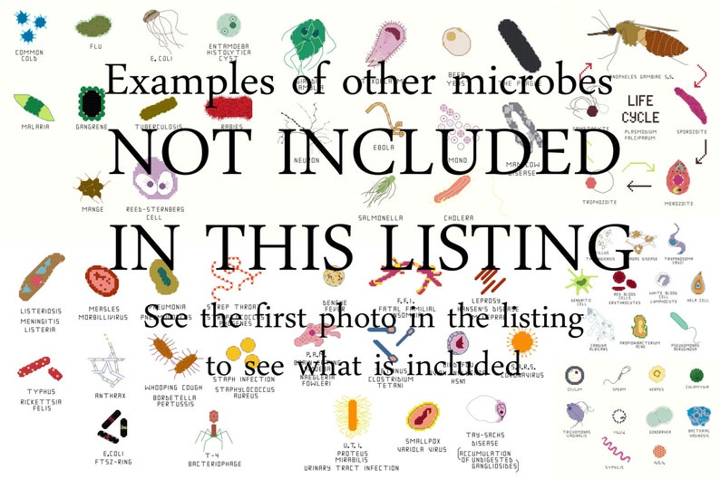 Cross Stitch Pattern Common Microbes, set 4 image 2