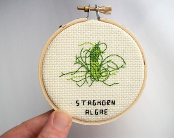 Staghorn Algae microbe -- microbe cross stitch, for science geeks or anyone in love with badass germ-killers