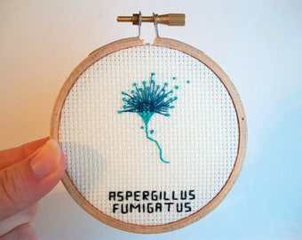 Cross stitch microbe -- Aspergillus fumigatus cross stitch, med student or biology major stitchery