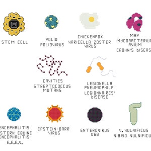 May include: An illustration of various viruses and bacteria, including Stem Cell, Polio, Chickenpox, and others. Each is depicted with a unique shape and color, with the name of each disease written below.