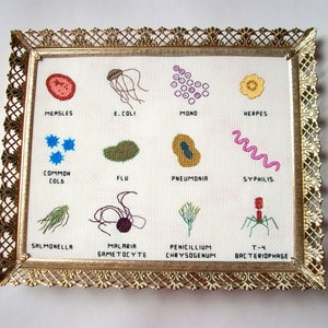 Microbe cross stitch sampler 8x10 a dozen microbes stitched for you, with a mounting board image 1