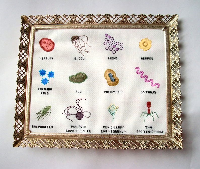 Microbe cross stitch sampler 8x10 a dozen microbes stitched for you, with a mounting board image 1