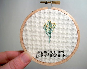Cross stitch microbe -- Penicillium chrysogenum cross stitch, med student or biology major stitchery