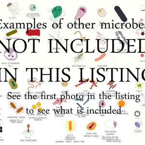 Cross Stitch Pattern Common Microbes, set 1 image 2