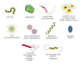 Cross Stitch Pattern -- Common Microbes, set 7, with stomach ulcers, diarrhea, brain cancer, etc.