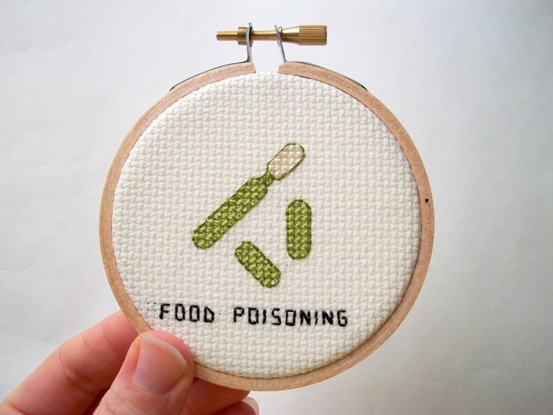 Food Poisoning microbe germ cross stitch, microbe needlework for scientists and other cool people image 1