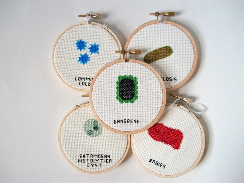 Food Poisoning microbe germ cross stitch, microbe needlework for scientists and other cool people image 4