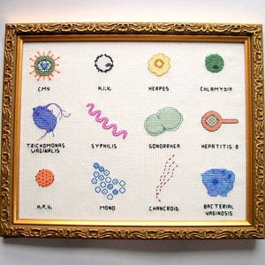 Microbe cross stitch sampler 8x10 a dozen microbes stitched for you, with a mounting board image 4